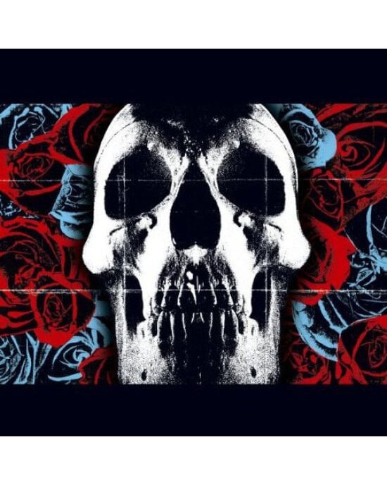 Deftones – Deftones (LP) Plak