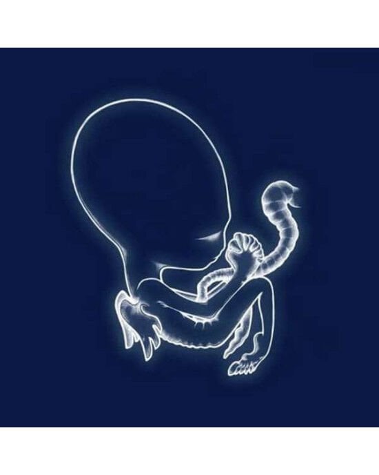 Sigur Rós – Ágætis Byrjun (2LP) Plak
