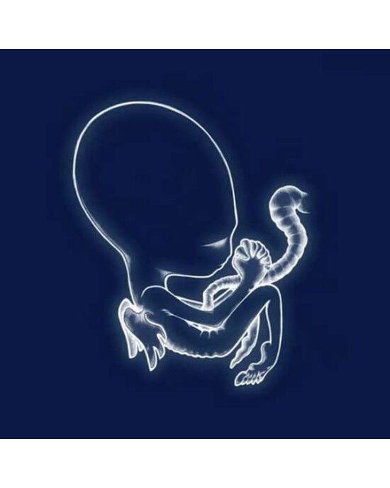 Sigur Rós – Ágætis Byrjun (2LP) Plak (Sıfır - Kapalı Ambalaj)