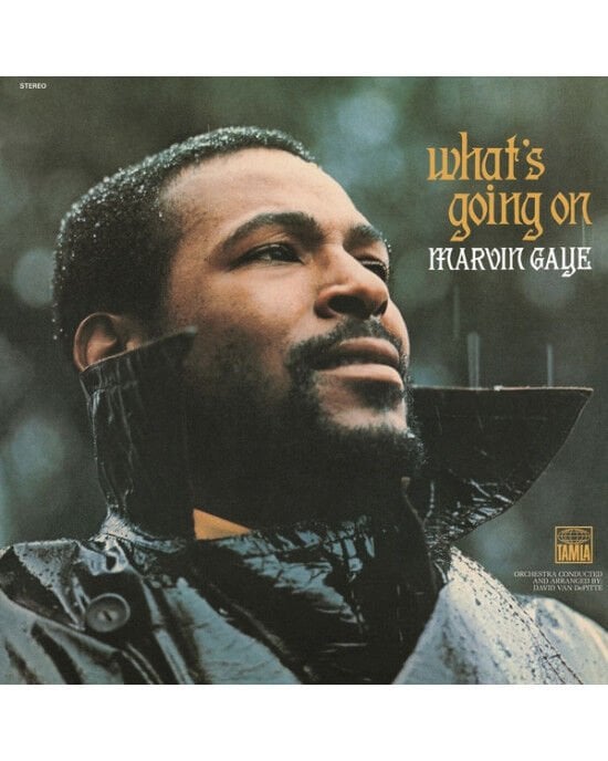Marvin Gaye – What's Going On (LP) Plak (Sıfır - Kapalı Ambalaj)
