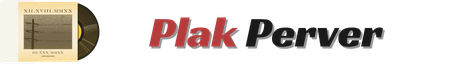 Plak Dolabı