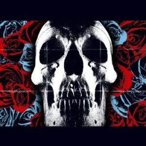 Deftones – Deftones (LP) Plak