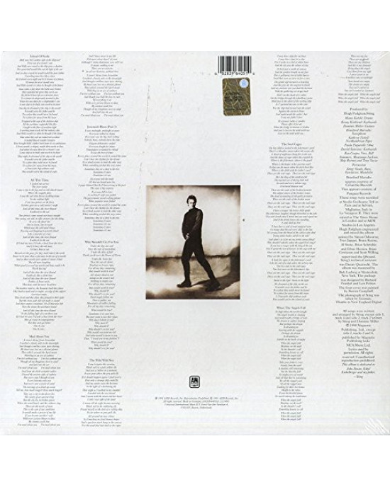 Sting – The Soul Cages (LP) Plak - Görsel 2